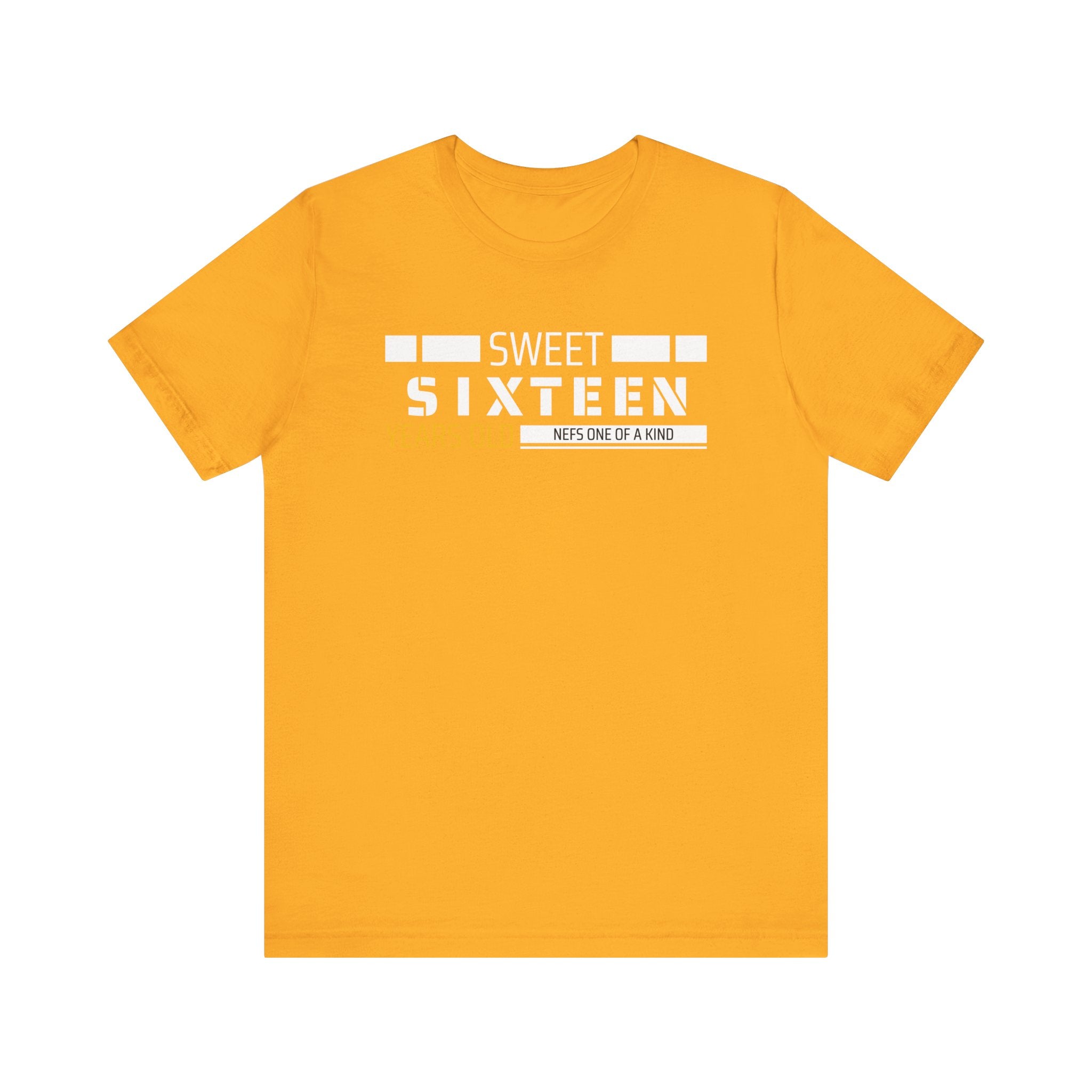Sixteen year old Unisex Adult Tee